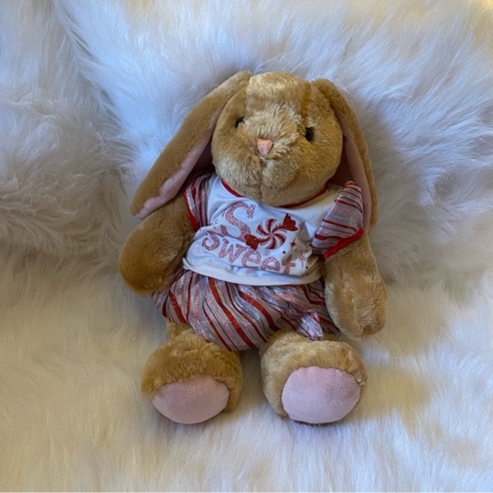 Build A Bear Rabbit And Outfit Plush Stuffed Animal Brown